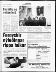 Síða 15