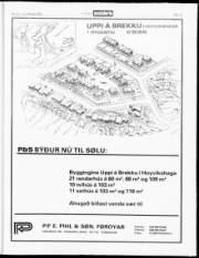 Síða 19
