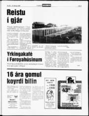 Síða 3