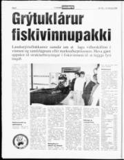 Síða 6