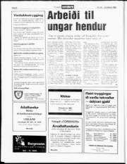 Síða 20
