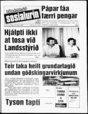 Síða 1