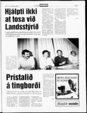 Síða 3