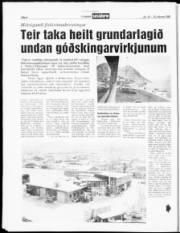 Síða 8