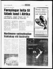 Síða 11