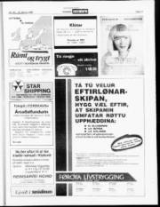 Síða 17