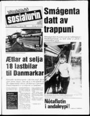 Síða 1