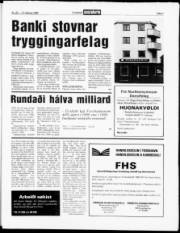 Síða 3