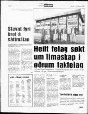 Síða 4
