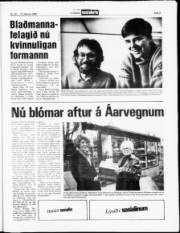 Síða 9