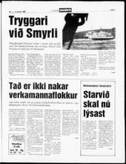 Síða 3