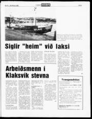 Síða 5