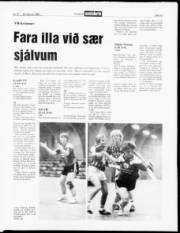 Síða 13