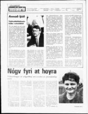 Síða 2
