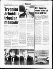 Síða 3