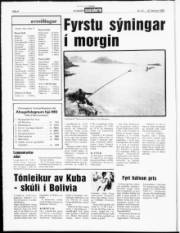 Síða 4