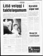 Síða 6