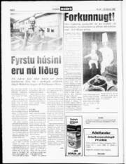 Síða 8