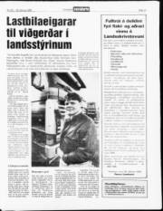 Síða 13
