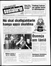Síða 1