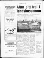 Síða 6