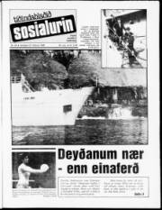 Síða 1