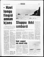 Síða 3