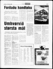 Síða 5