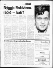 Síða 8