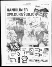Síða 14