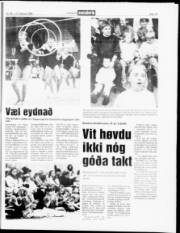Síða 19