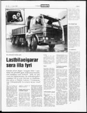 Síða 3
