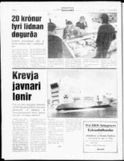 Síða 6