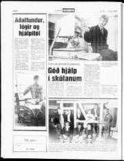Síða 8