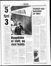 Síða 9