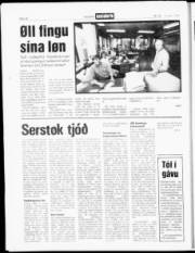 Síða 14