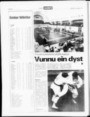 Síða 16