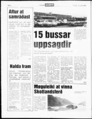 Síða 6