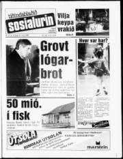 Síða 1