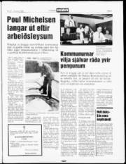 Síða 3