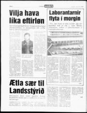 Síða 4
