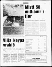 Síða 5