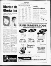 Síða 17