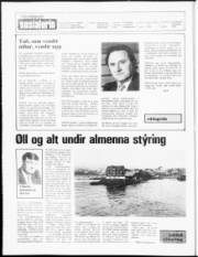 Síða 2