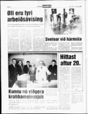 Síða 4