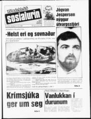 Síða 1