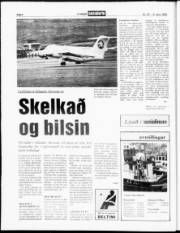 Síða 6