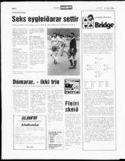 Síða 8