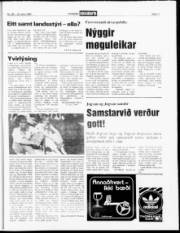 Síða 11
