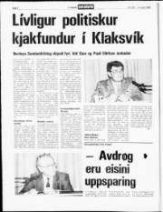 Síða 6